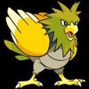 theshinyspearow avatar