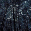 theshireishere avatar