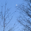 theshynerdsworld avatar