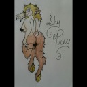 theshyprey avatar