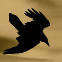 thesiggystardust avatar