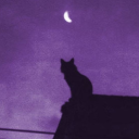 thesilentangel avatar