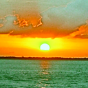 thesilentchronicles avatar