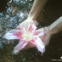 thesilliestsillymakamae avatar