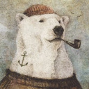 thesillyoldbear avatar