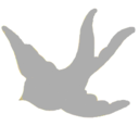 thesilverbird avatar