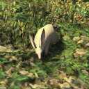 thesilvernekogami avatar