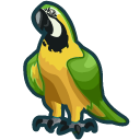 thesimparrot avatar