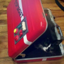 thesinisterspycrab avatar