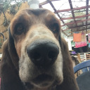 thesinofdevil avatar