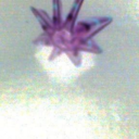 thesixthpistol avatar