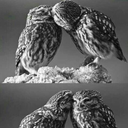 theskeletonofthenight avatar