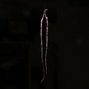 thesketchygoblin avatar