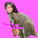 theskipperroo avatar