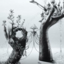 theskyisalreadyfalling avatar