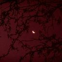 theskyisyourheart avatar