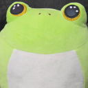 thesleepyfrog avatar