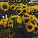 thesleepygirlx avatar