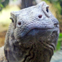 theslenderversecritique avatar