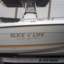 thesliceoftruth avatar