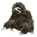 theslothsofcharter avatar