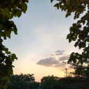 thesmilingdisasterofalawyer avatar