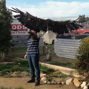 thesnarksarereal avatar