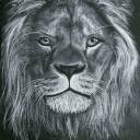 thesnazzystuff avatar