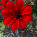 thesnuggleisreal avatar