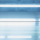 thesoftclubstoic avatar