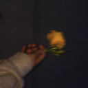 thesoftdarknessofdawn avatar