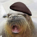 thesoggywalrus avatar