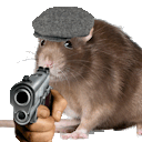 thesomebodywho avatar