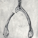 thesongofsoleil avatar