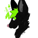 thesonicboom1 avatar