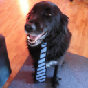 thesonofmadness avatar