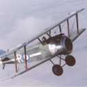 thesopwithcamel avatar