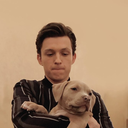 thesoul-stone avatar