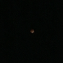 thesoulisourvoice avatar