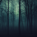 thesovereignofswords avatar