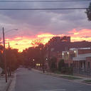 thespeedfreak94 avatar