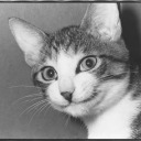 thespiritualplug avatar