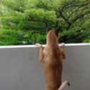 thespotlessworld avatar