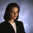 thestarlingfiles avatar