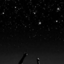 thestarofthenightt avatar