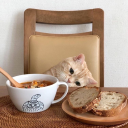 thestars-in-her-eyes avatar