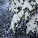 thestarsarebrightlyshining avatar