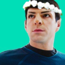 thestarshipenterprise avatar