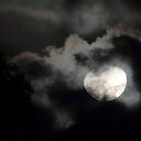 thestarssobright avatar