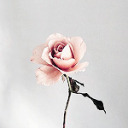 thestarswholisten avatar